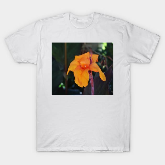 Orange Canna Lily T-Shirt by Cynthia48